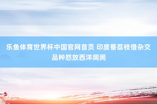 乐鱼体育世界杯中国官网首页 印度番荔枝借杂交品种怒放西洋阛阓