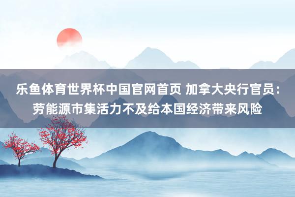 乐鱼体育世界杯中国官网首页 加拿大央行官员：劳能源市集活力不及给本国经济带来风险