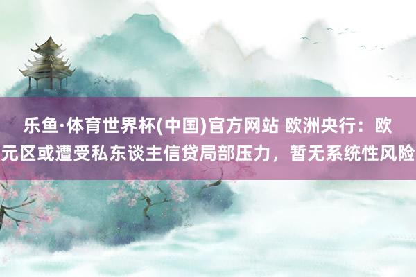 乐鱼·体育世界杯(中国)官方网站 欧洲央行：欧元区或遭受私东谈主信贷局部压力，暂无系统性风险
