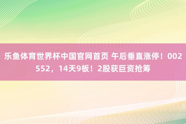 乐鱼体育世界杯中国官网首页 午后垂直涨停！002552，14天9板！2股获巨资抢筹