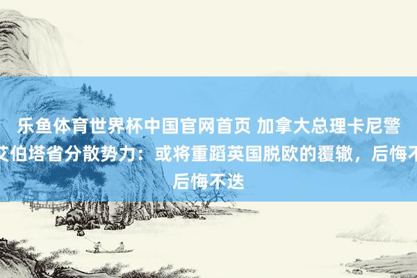 乐鱼体育世界杯中国官网首页 加拿大总理卡尼警示艾伯塔省分散势力：或将重蹈英国脱欧的覆辙，后悔不迭
