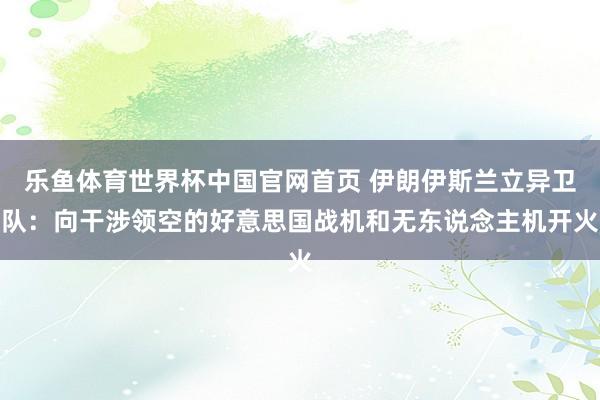 乐鱼体育世界杯中国官网首页 伊朗伊斯兰立异卫队：向干涉领空的好意思国战机和无东说念主机开火