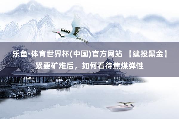 乐鱼·体育世界杯(中国)官方网站 【建投黑金】紧要矿难后，如何看待焦煤弹性