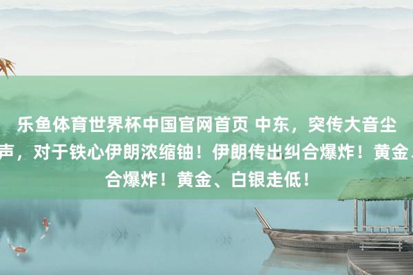 乐鱼体育世界杯中国官网首页 中东，突传大音尘！特朗普发声，对于铁心伊朗浓缩铀！伊朗传出纠合爆炸！黄金、白银走低！