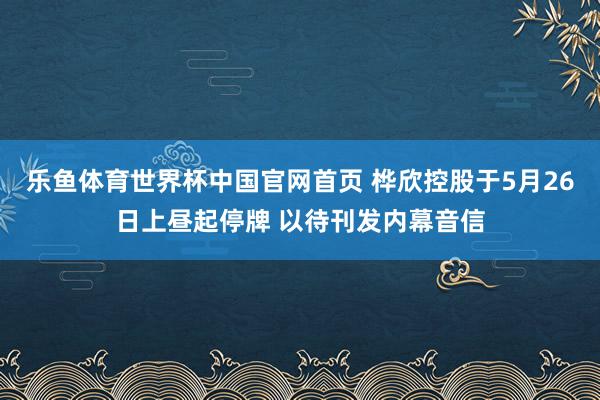 乐鱼体育世界杯中国官网首页 桦欣控股于5月26日上昼起停牌 以待刊发内幕音信