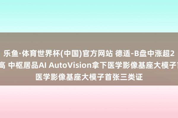 乐鱼·体育世界杯(中国)官方网站 德适-B盘中涨超22%再立异高 中枢居品AI AutoVision拿下医学影像基座大模子首张三类证