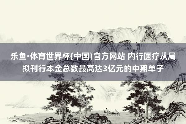 乐鱼·体育世界杯(中国)官方网站 内行医疗从属拟刊行本金总数最高达3亿元的中期单子