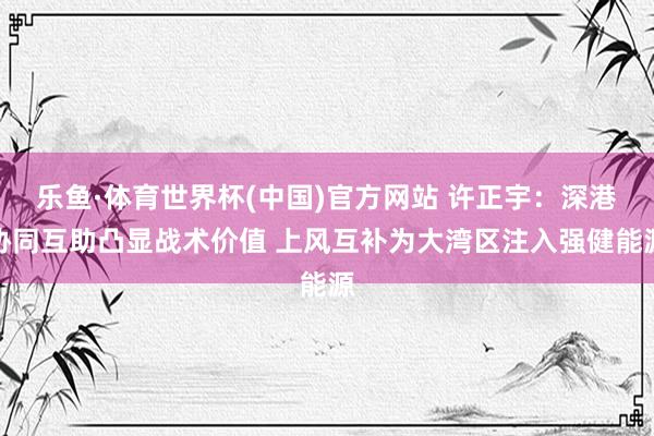 乐鱼·体育世界杯(中国)官方网站 许正宇：深港协同互助凸显战术价值 上风互补为大湾区注入强健能源