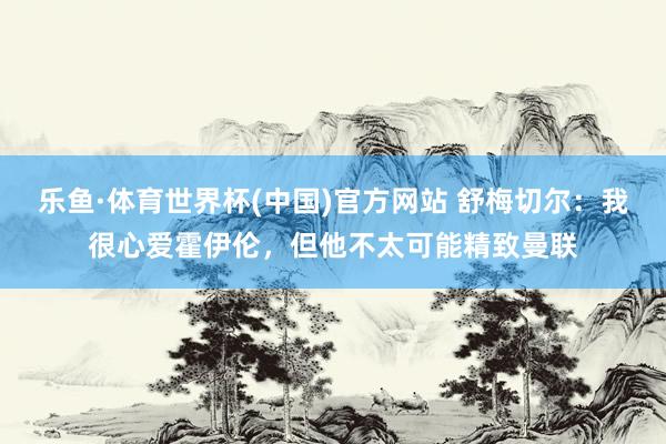 乐鱼·体育世界杯(中国)官方网站 舒梅切尔：我很心爱霍伊伦，但他不太可能精致曼联