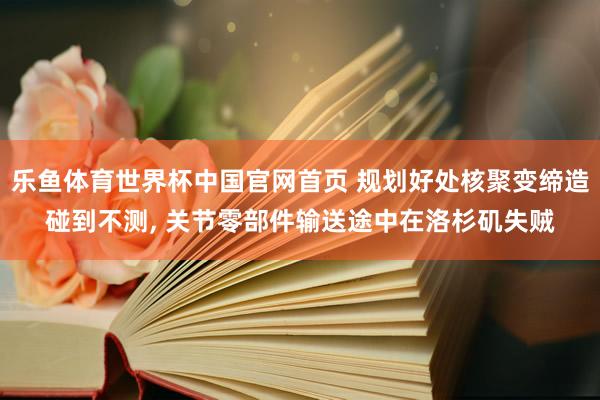 乐鱼体育世界杯中国官网首页 规划好处核聚变缔造碰到不测, 关节零部件输送途中在洛杉矶失贼