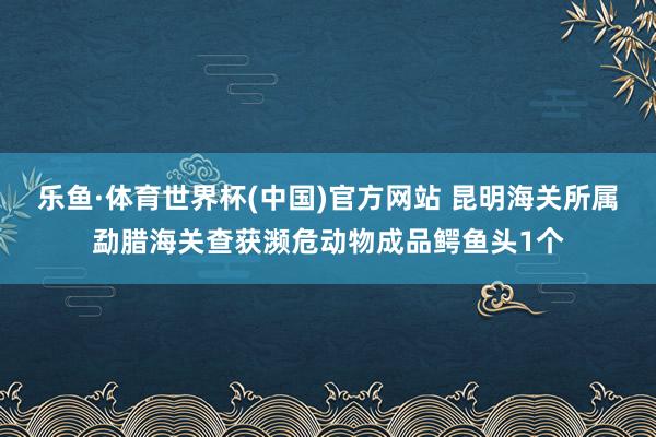 乐鱼·体育世界杯(中国)官方网站 昆明海关所属勐腊海关查获濒危动物成品鳄鱼头1个
