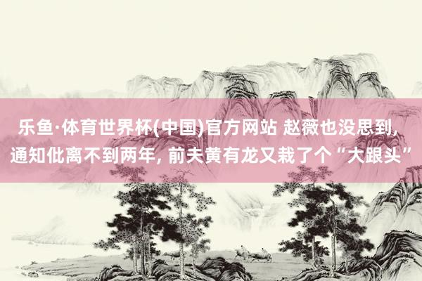 乐鱼·体育世界杯(中国)官方网站 赵薇也没思到, 通知仳离不到两年, 前夫黄有龙又栽了个“大跟头”