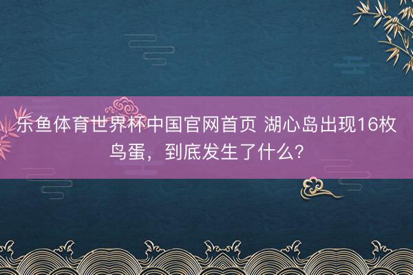 乐鱼体育世界杯中国官网首页 湖心岛出现16枚鸟蛋，到底发生了什么？