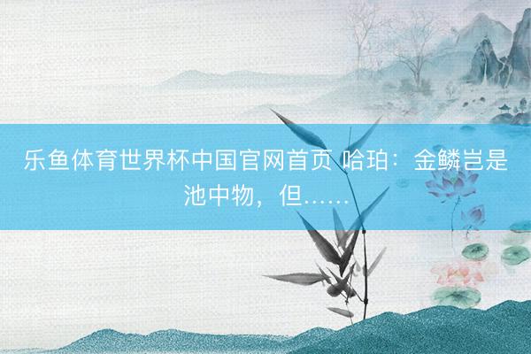 乐鱼体育世界杯中国官网首页 哈珀:金鳞岂是池中物,但……