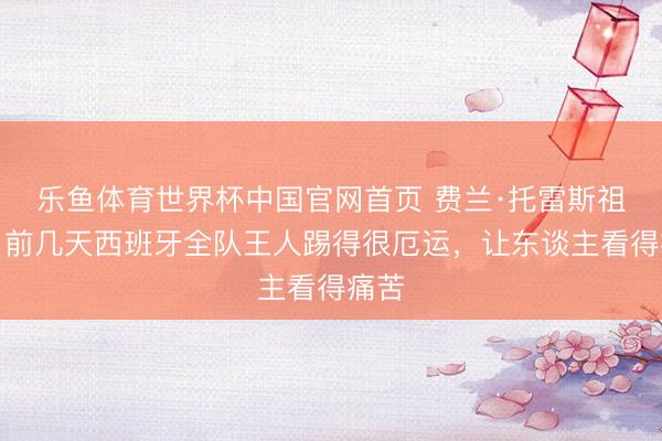 乐鱼体育世界杯中国官网首页 费兰·托雷斯祖父:前几天西班牙全队王人踢得很厄运,让东谈主看得痛苦